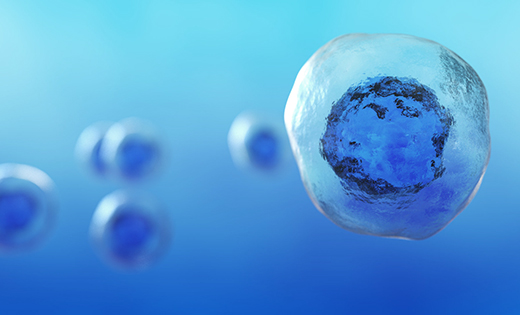 研究開(kāi)發(fā)