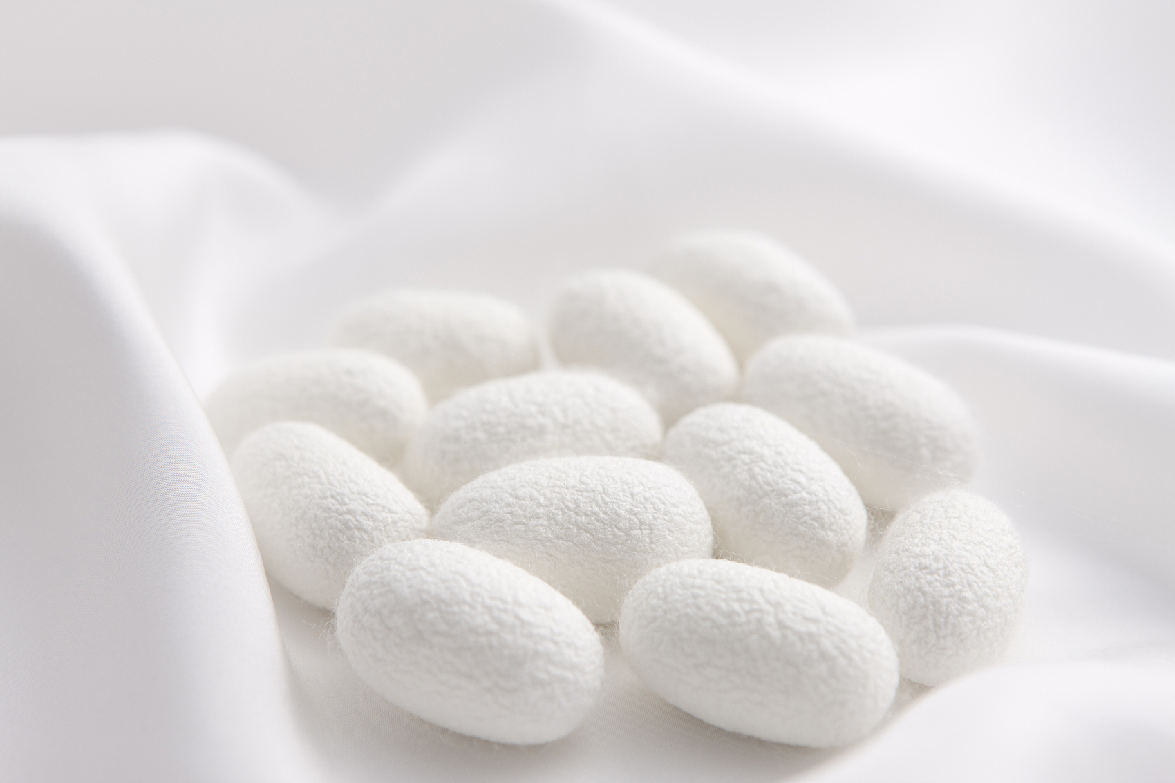 國(guó)家&ldquo;十四五&rdquo;重點(diǎn)布局領(lǐng)域 | 再生材料&mdash;&mdash;絲素蛋白